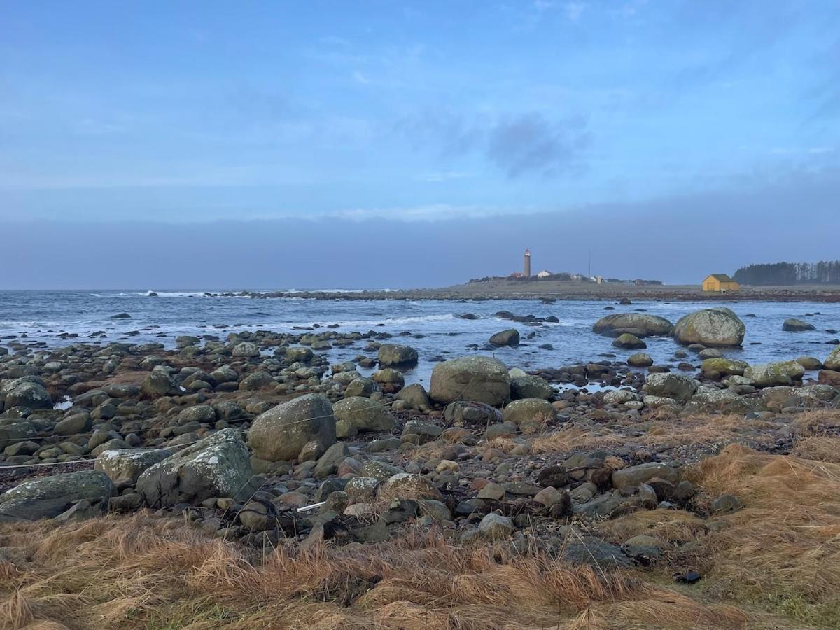 Havbris With Sea View In Borhaug, Farsund * Borhaug