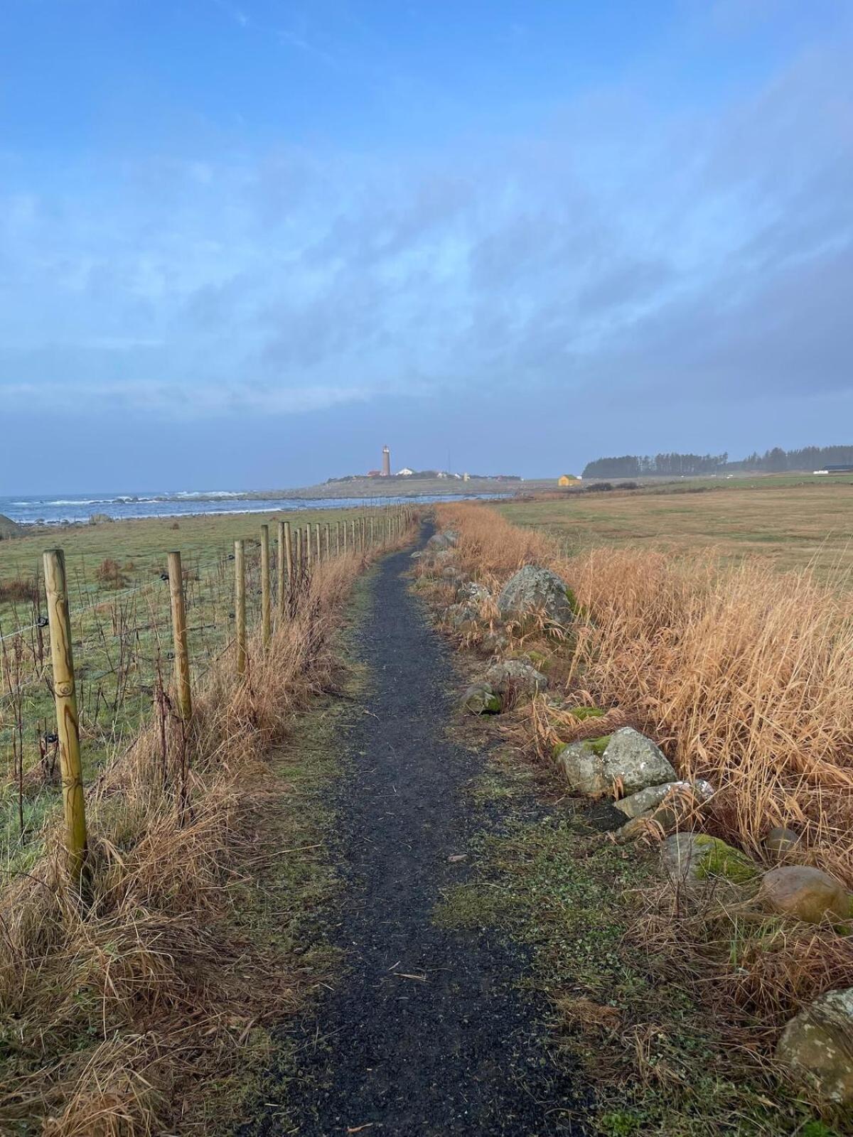 Havbris With Sea View In Borhaug, Farsund Appartamento Borhaug